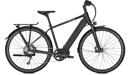 Raleigh PRESTON 10 - 540 Wh - 2021 - 28 Zoll - Herren