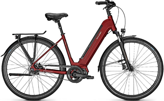 Raleigh Sheffield Premium - 540 Wh - 2020 - 28 Zoll - Tiefeinsteiger