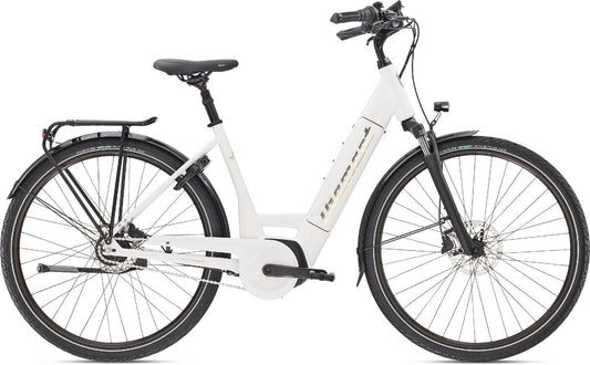 Diamant Beryll Deluxe+ - 500 Wh - 2020 - 28 Zoll - Tiefeinsteiger