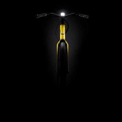 Stromer ST1 - 983 Wh - 2020 - 27,5 Zoll - Damen
